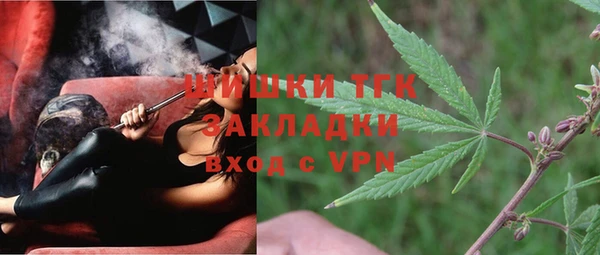 ГАЛЛЮЦИНОГЕННЫЕ ГРИБЫ Кулебаки