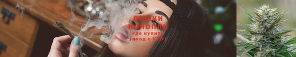 ГАЛЛЮЦИНОГЕННЫЕ ГРИБЫ Кулебаки