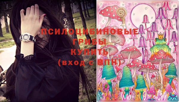 молекула духа Кукмор