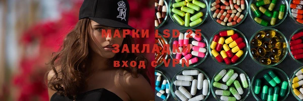 шишки Краснослободск