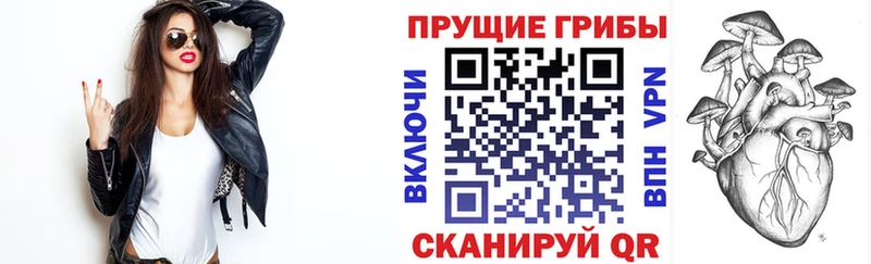Купить закладки  Малая Вишера  Псилоцибиновые грибы прущие грибы 